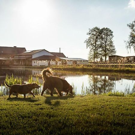Tawerna Pod Kotwica Pokoje I Domy Wakacyjne Kadlub Wolny Ngoại thất bức ảnh